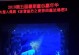 《冰雪皇后的婚礼游戏攻略》（梦幻冰雪婚礼如何游刃有余）