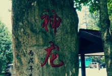 回忆神龙游戏攻略（怀旧经典，再次征服神龙世界）