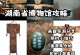 长沙博物馆游戏攻略（在长沙博物馆中寻找宝藏，解开历史之谜！）