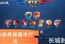 养猪流打法与出装攻略视频，助你成为无敌战士！
