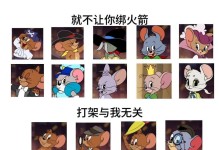 猫和老鼠游戏攻略（追逐与逃亡，角力与智慧，猫鼠大战无限魅力！）