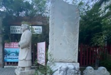 以坟墓之子技能加点攻略（掌握技能加点技巧，成为最强冥王！）
