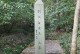 《坟墓之子技能加点攻略》（掌握技能加点技巧，打造最强角色！）