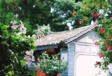 蝴蝶4技能加点攻略大全（蝴蝶技能加点全解析，助你成为无敌杀神！）