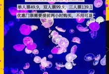 海底探索游戏攻略大揭秘（手机版游戏攻略全面解析，助你成为真正的海底冒险家）