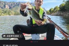《石头村游戏平台攻略大揭秘》（让你成为石头村游戏的顶尖玩家，掌握攻略的关键技巧）