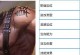 王者荣耀刷野技能加点攻略（掌握最佳加点方案，提升刷野效率）