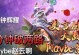 刀塔2赵云出装攻略（完美无暇的赵云出装选择，带你战无不胜！）