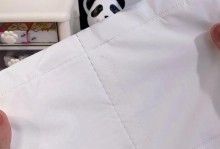 琴女辅助出装攻略（提升你的辅助实力，掌握琴女的出装要点）