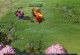 掌握Dota2OMG技能组合攻略，打造无敌阵容（精准选择英雄，发挥技能组合的最大威力）