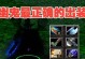 玩转Dota，选择适合的游戏键盘！（提升游戏体验，为你的Dota之路增光添彩！）