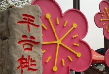 桃花海拍照攻略游戏，探寻绚丽花海的秘密（用镜头捕捉美好时刻，留下难忘回忆）